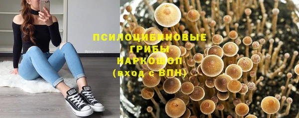 mdpv Белокуриха