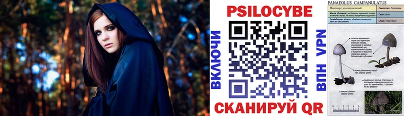 где можно купить   Тюкалинск  Галлюциногенные грибы GOLDEN TEACHER 